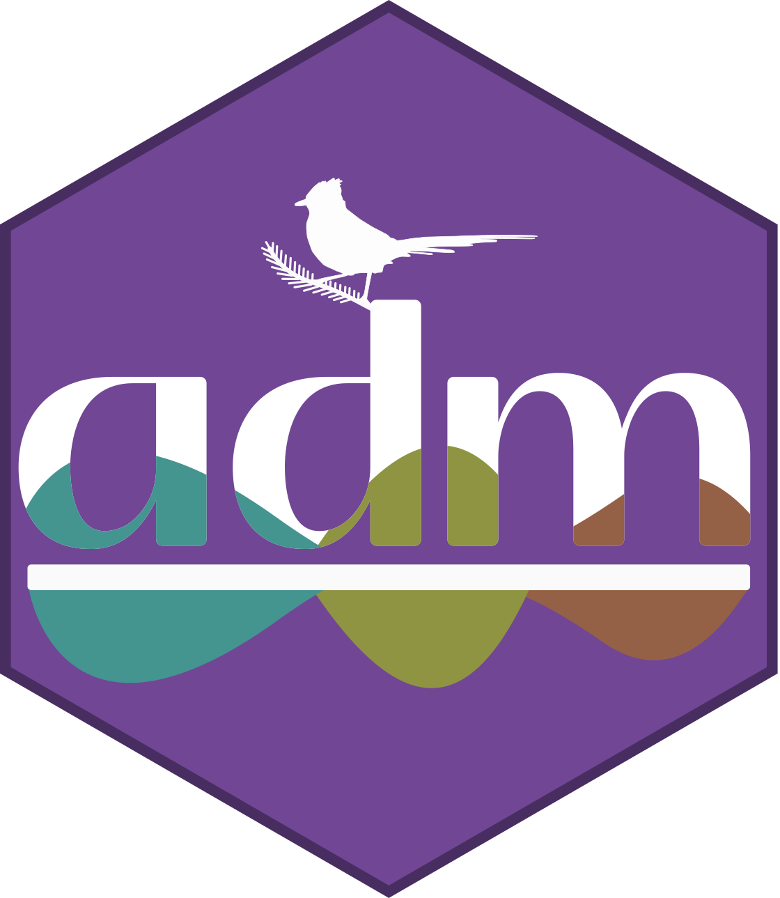 Projects – Admir Junior